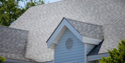 Detailed Roof Assessments